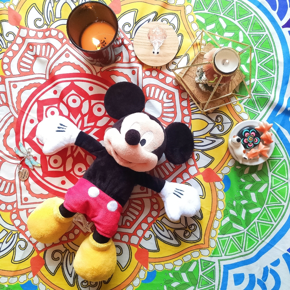 Mickey Mouse Mascot
